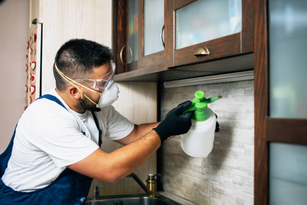 Best Affordable Pest Control Services  in Fanning Springs, FL