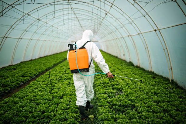 Best Residential Pest Control  in Fanning Springs, FL