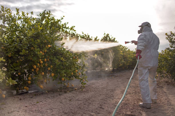 Best Best Pest Control Companies  in Fanning Springs, FL