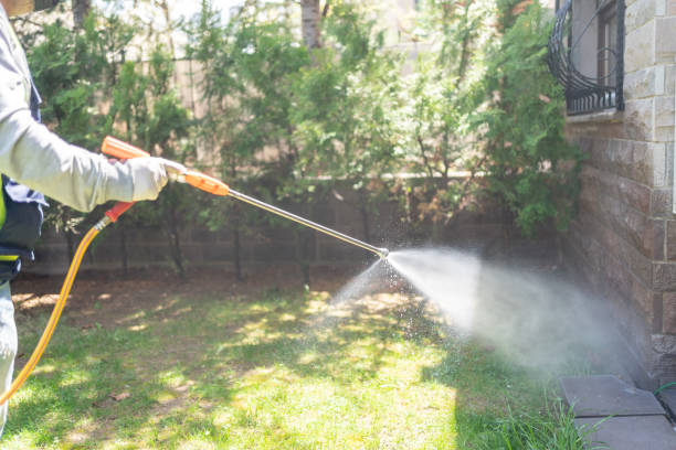 Best Best Pest Control Companies  in Fanning Springs, FL
