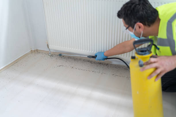Professional Pest Control in Fanning Springs, FL